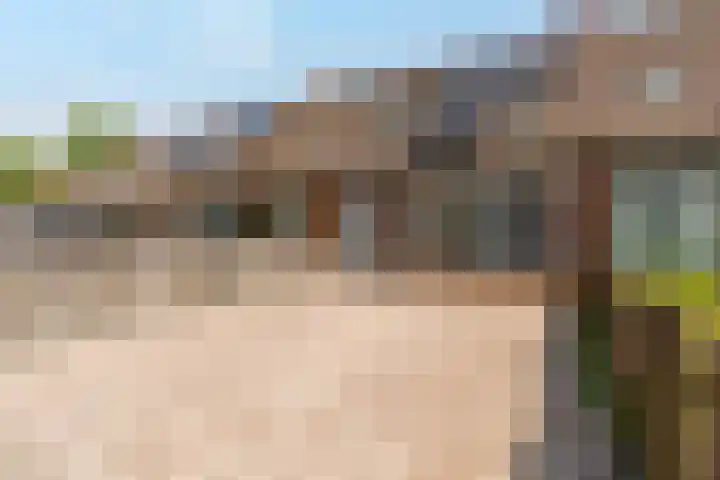 Beemster 31 dans Lelystad