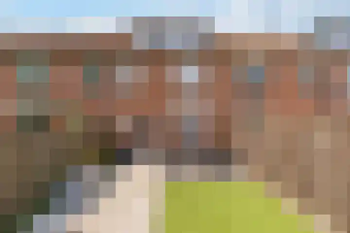 Beemster 31 Lelystad thumbnail 30