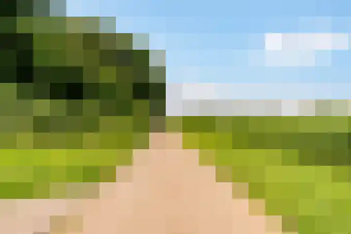 Beemster 31 Lelystad thumbnail 33