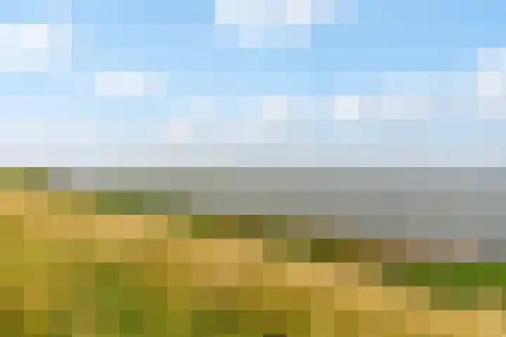 Beemster 31 Lelystad thumbnail 34
