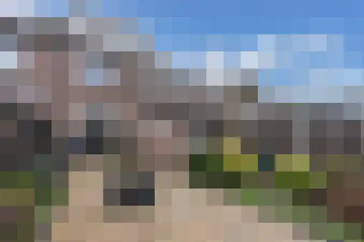 Beemster 50 Lelystad thumbnail 40