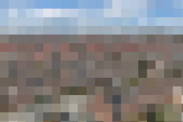 Beemster 50 Lelystad thumbnail 45