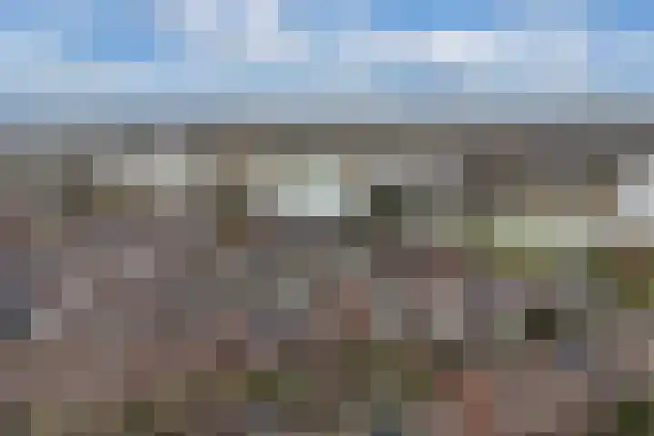 Beemster 50 Lelystad thumbnail 46