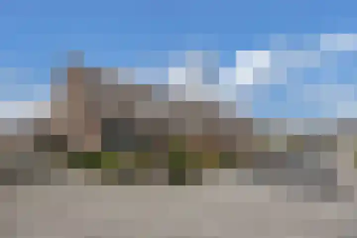 Beemster 50 Lelystad thumbnail 6