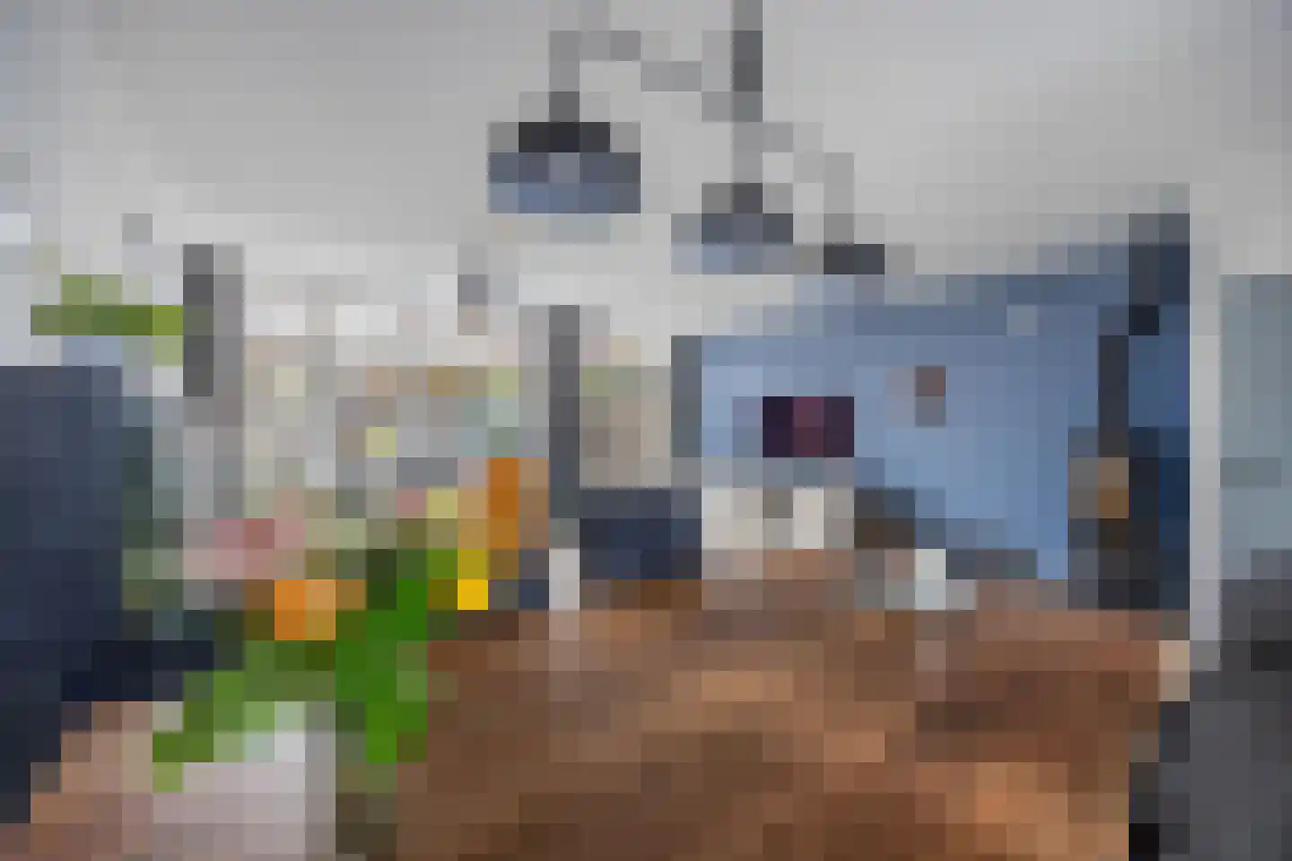 Beemster 61 Lelystad thumbnail 20