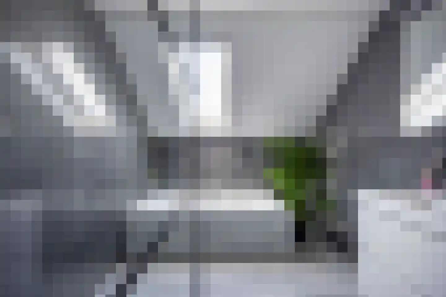 Beemster 61 Lelystad thumbnail 4