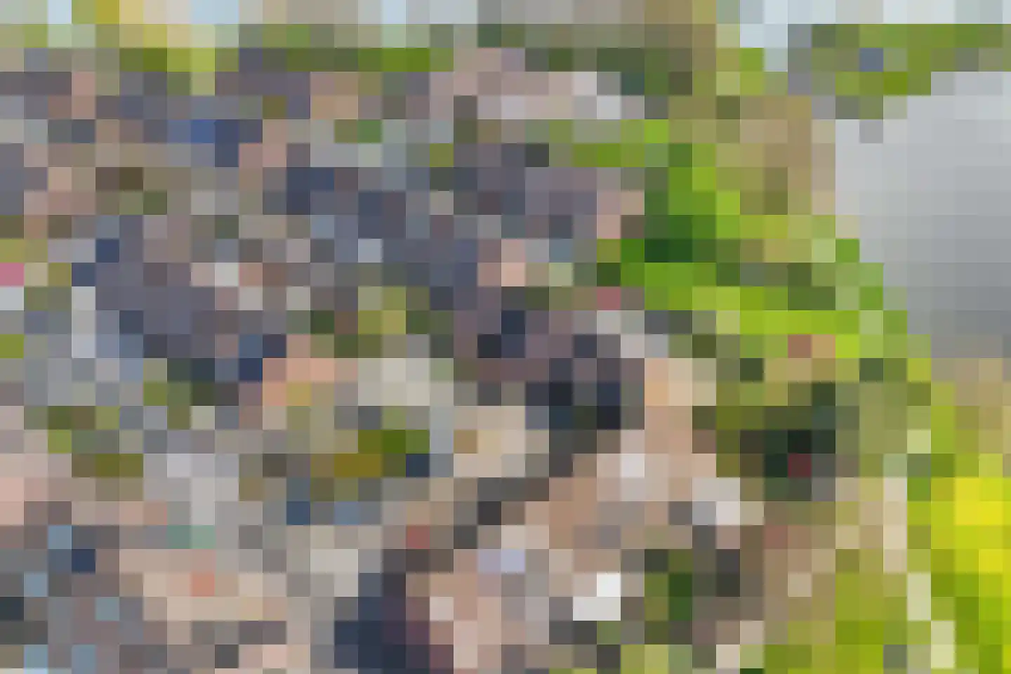 Beemster 61 Lelystad thumbnail 6