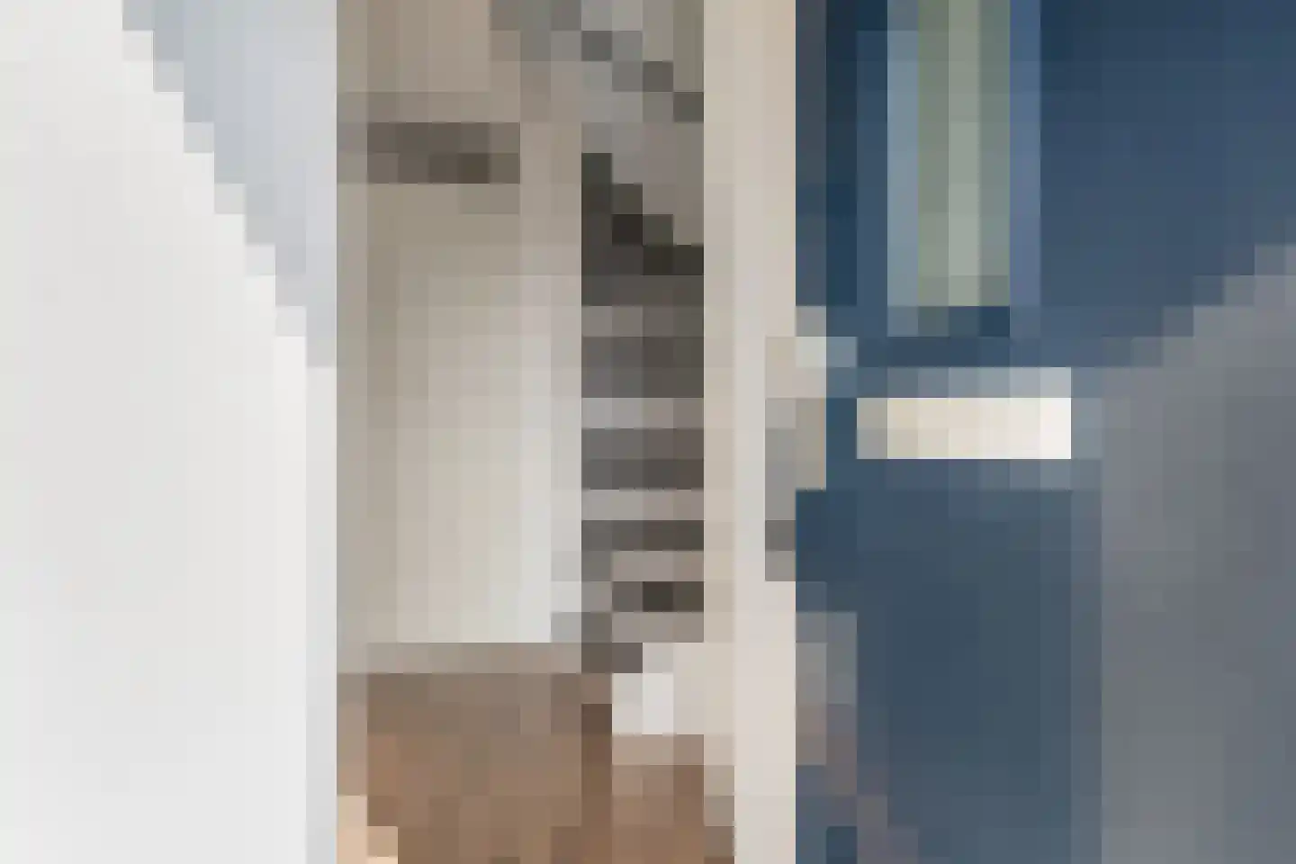 Beemster 9 Emmeloord thumbnail 17