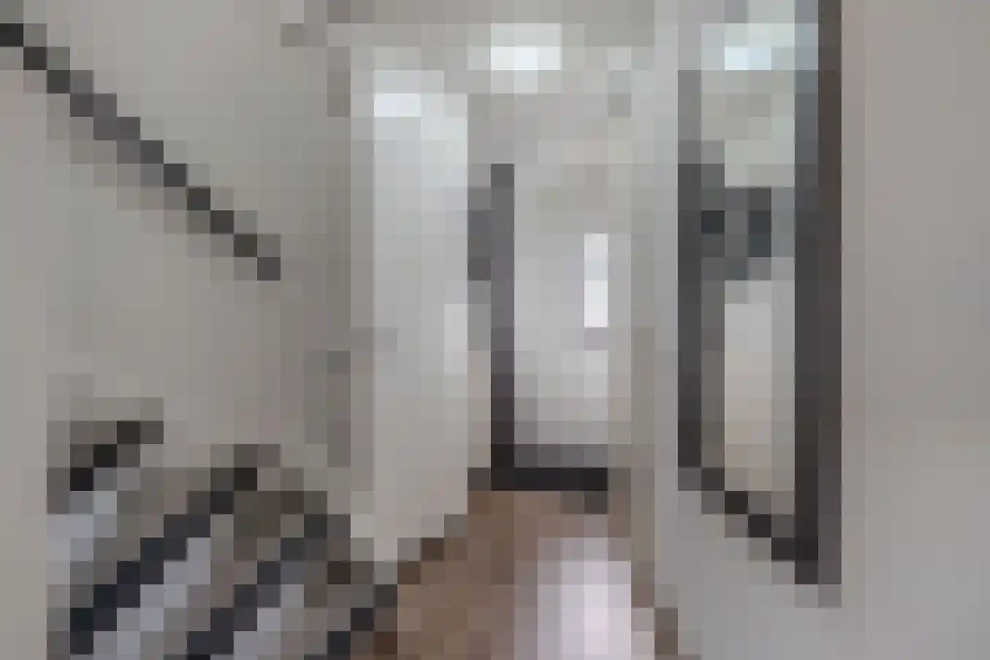 Beemster 9 Emmeloord thumbnail 20
