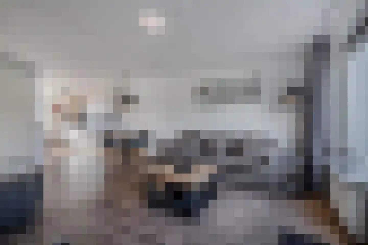 Beemster 9 Emmeloord thumbnail 24