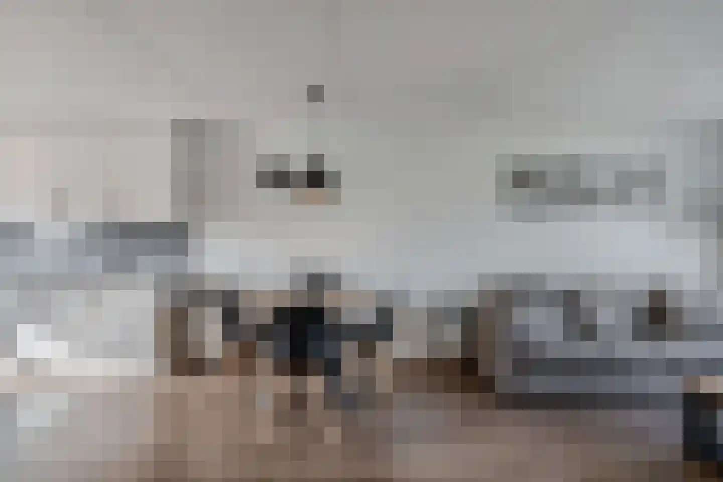 Beemster 9 Emmeloord thumbnail 25