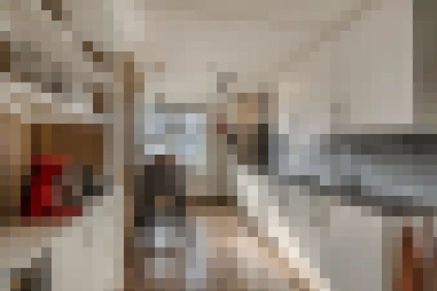 Beemster 9 Emmeloord thumbnail 28