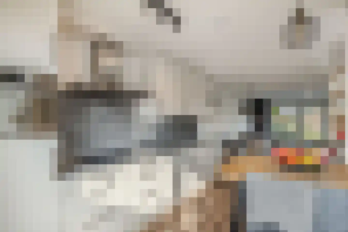 Beemster 9 Emmeloord thumbnail 31