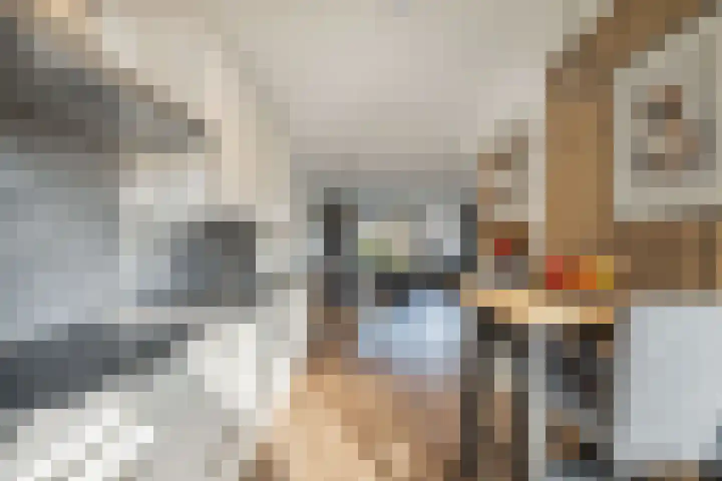 Beemster 9 Emmeloord thumbnail 32