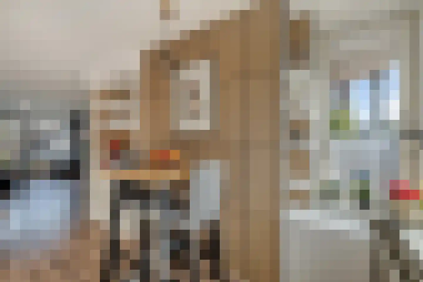 Beemster 9 Emmeloord thumbnail 33