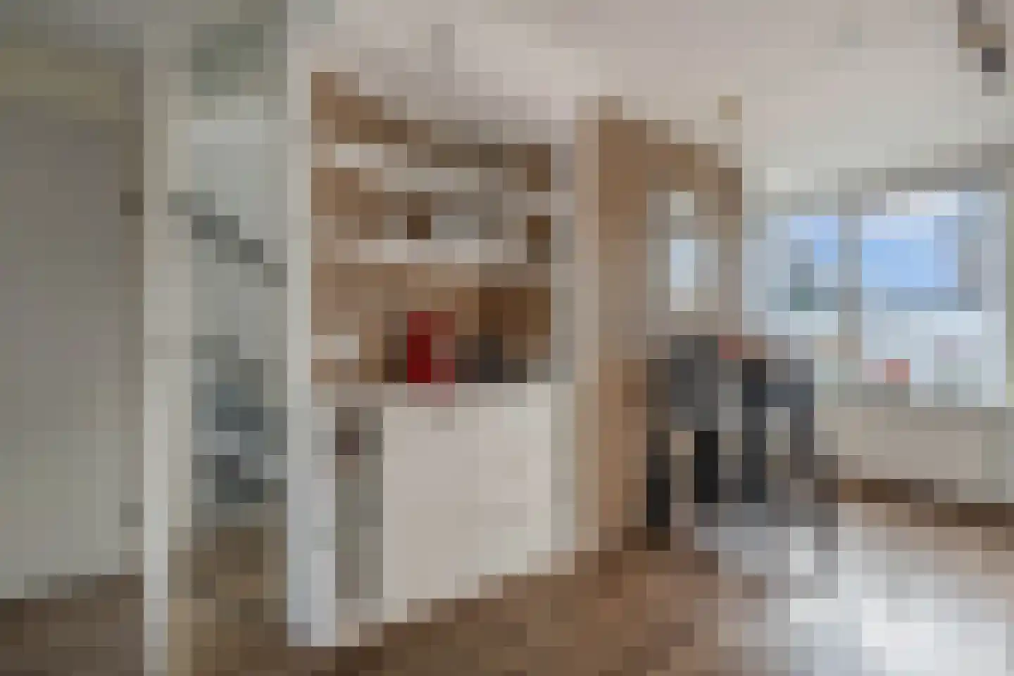 Beemster 9 Emmeloord thumbnail 34