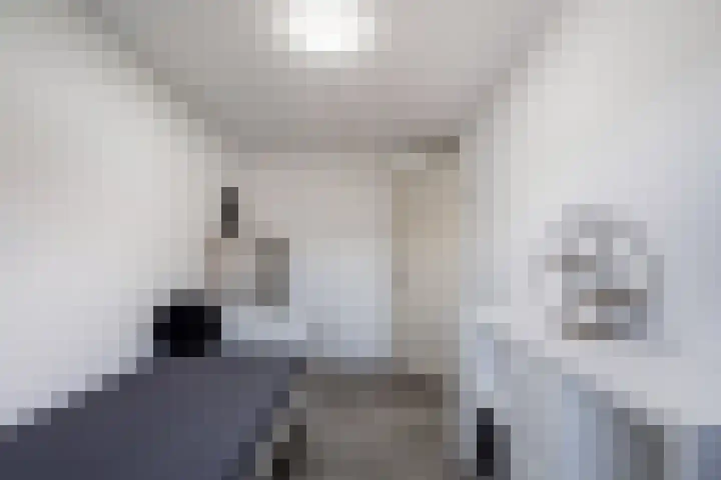 Beemster 9 Emmeloord thumbnail 44
