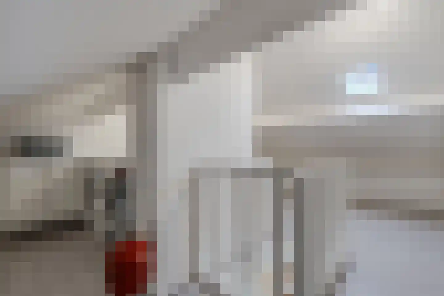 Beemster 9 Emmeloord thumbnail 47