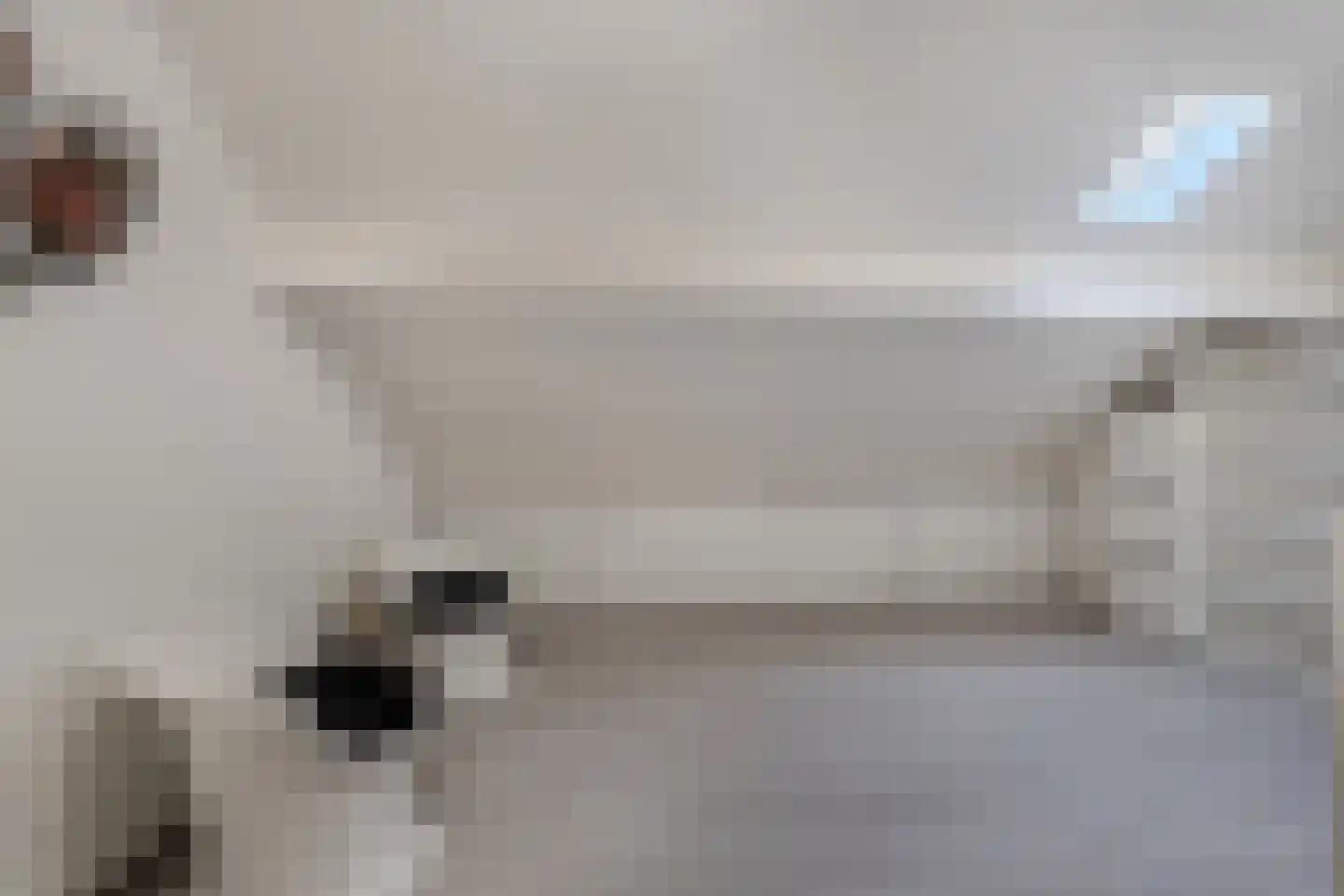 Beemster 9 Emmeloord thumbnail 48