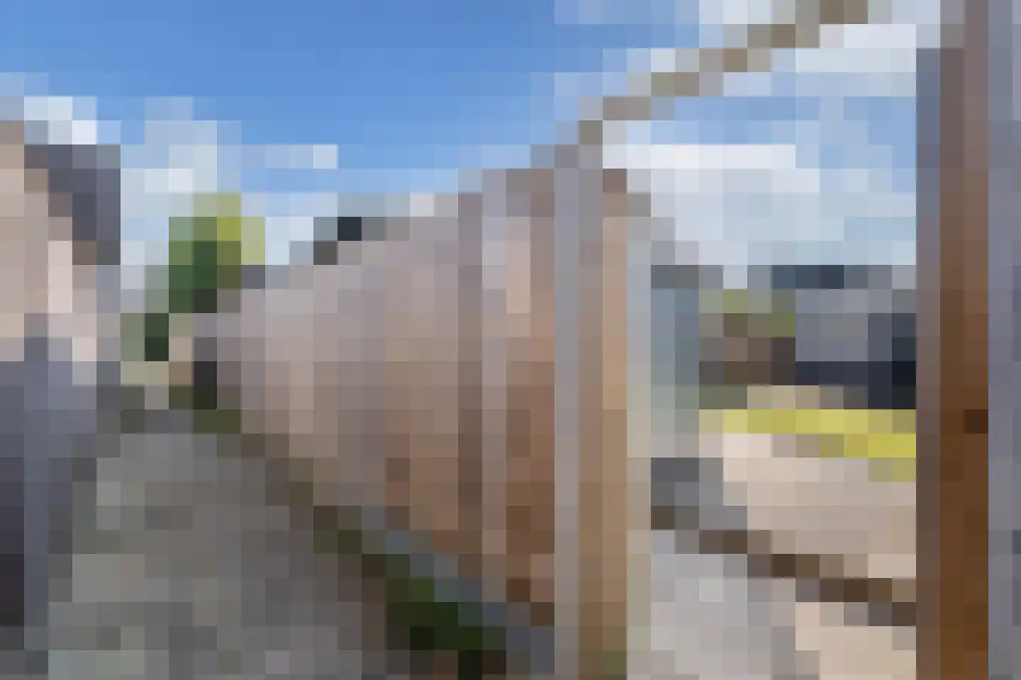 Beemster 9 Emmeloord thumbnail 60