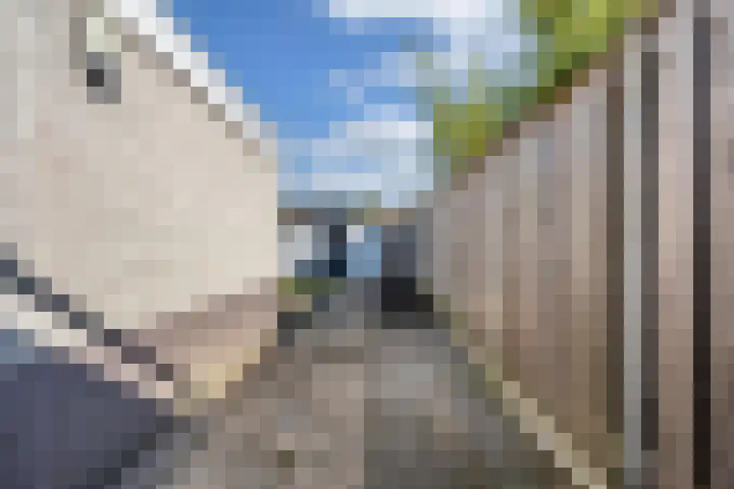 Beemster 9 Emmeloord thumbnail 61