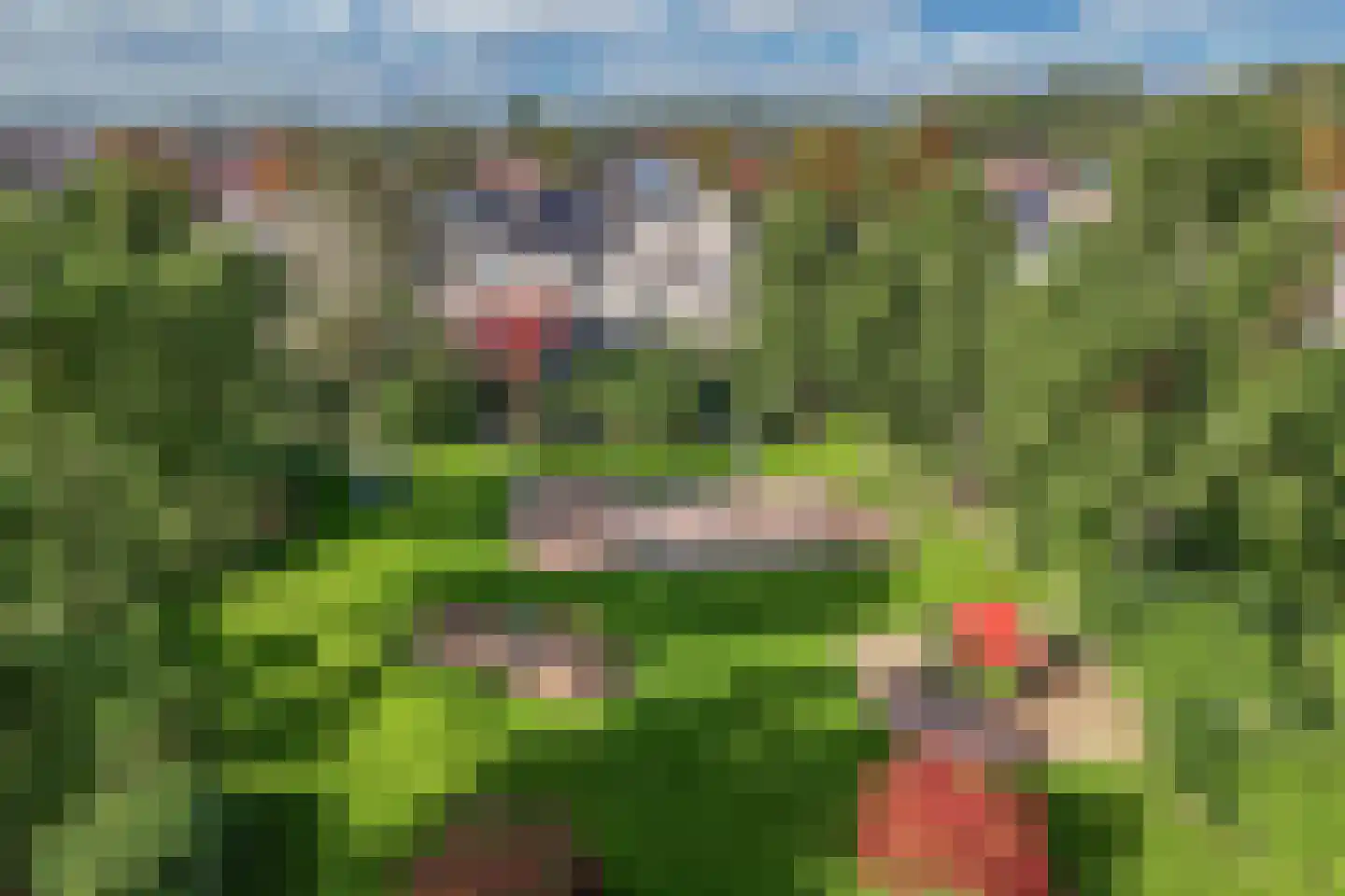 Beemster 9 Emmeloord thumbnail 66