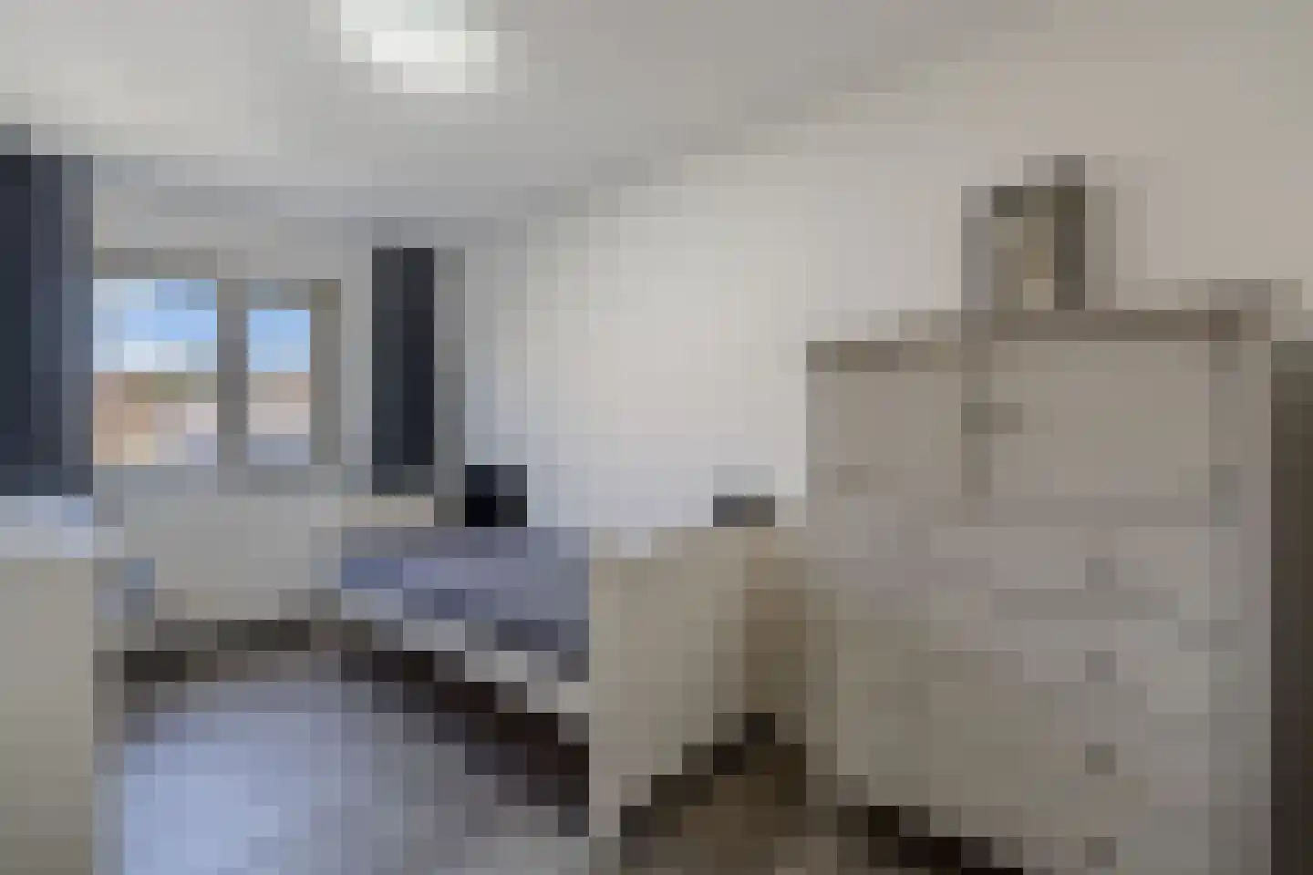 Beemster 9 Emmeloord thumbnail 7