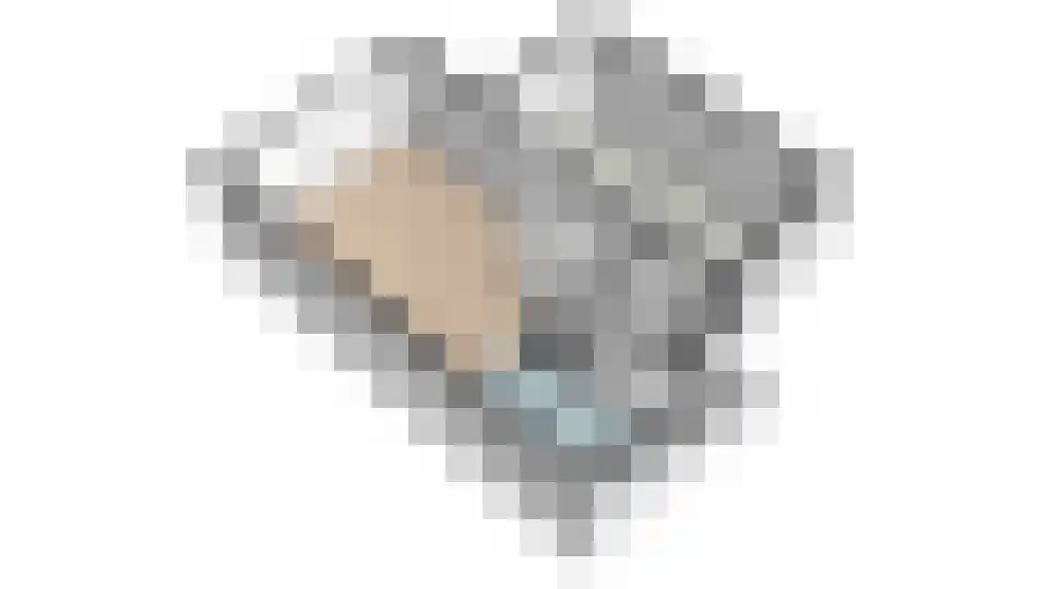 Beemster 9 Emmeloord thumbnail 70