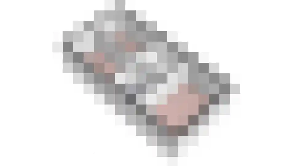 Beemster 9 Emmeloord thumbnail 72