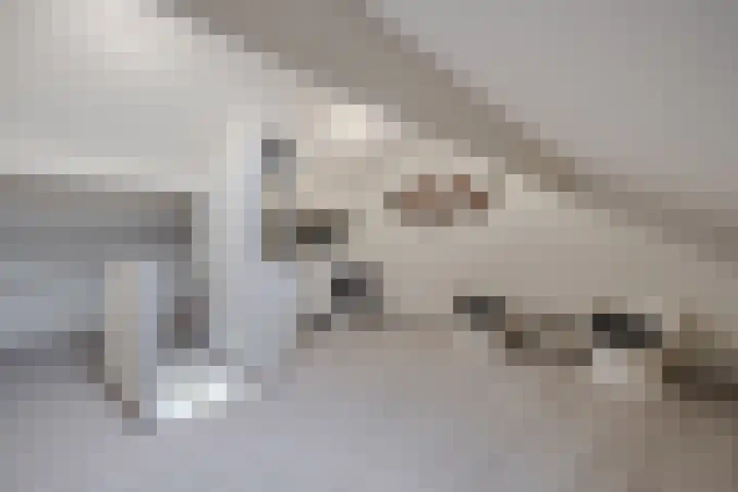 Beemster 9 Emmeloord thumbnail 9