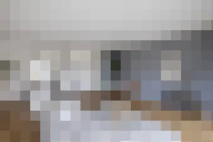 Beemster 98 Lelystad thumbnail 17