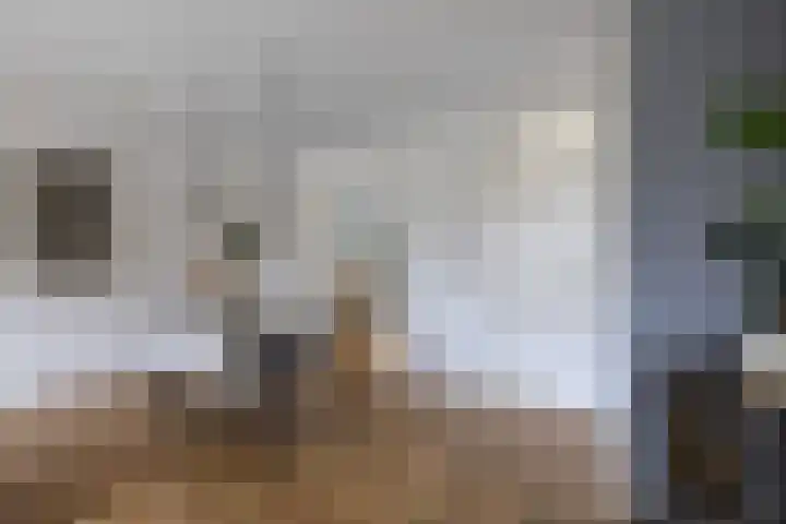 Beemster 98 Lelystad thumbnail 19