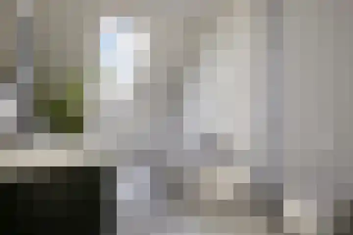 Beemster 98 Lelystad thumbnail 32