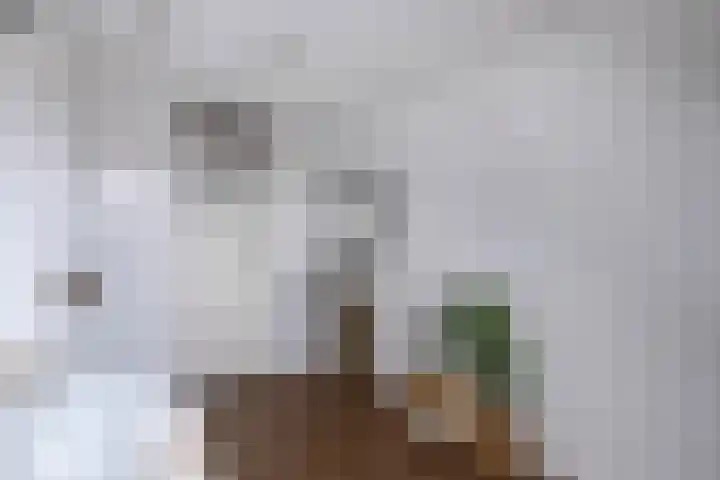 Beemster 98 Lelystad thumbnail 35