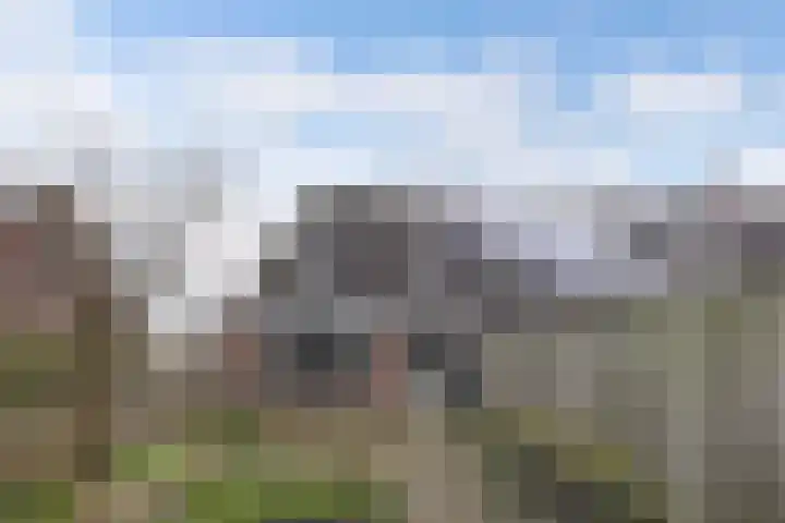 Beemster 98 Lelystad thumbnail 39
