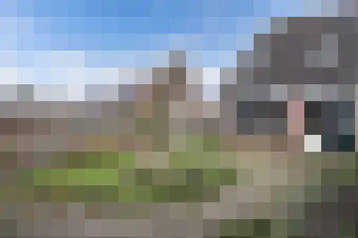 Beemster 98 Lelystad thumbnail 40