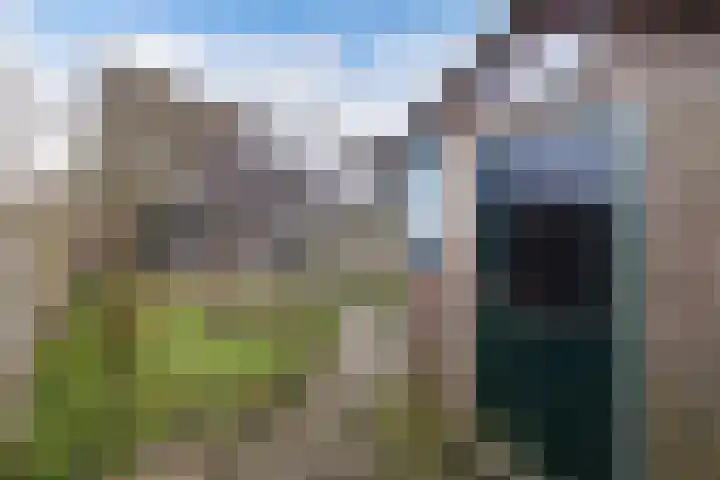 Beemster 98 Lelystad thumbnail 41