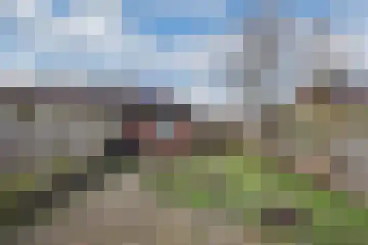 Beemster 98 Lelystad thumbnail 42