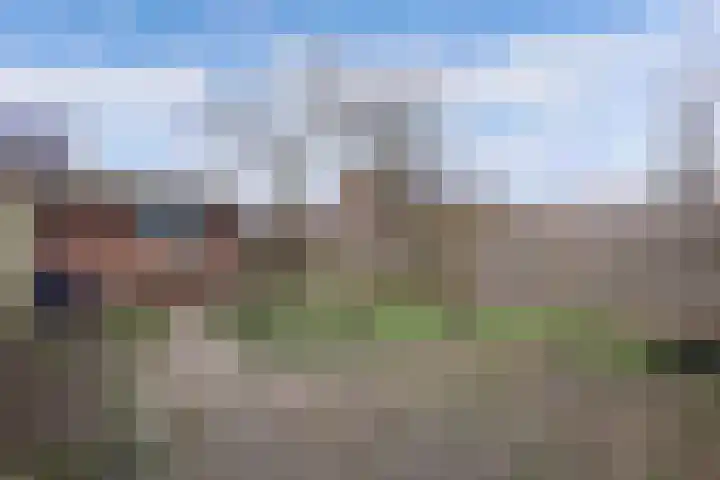 Beemster 98 Lelystad thumbnail 43