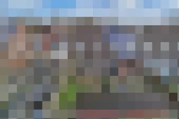 Beemster 98 Lelystad thumbnail 44