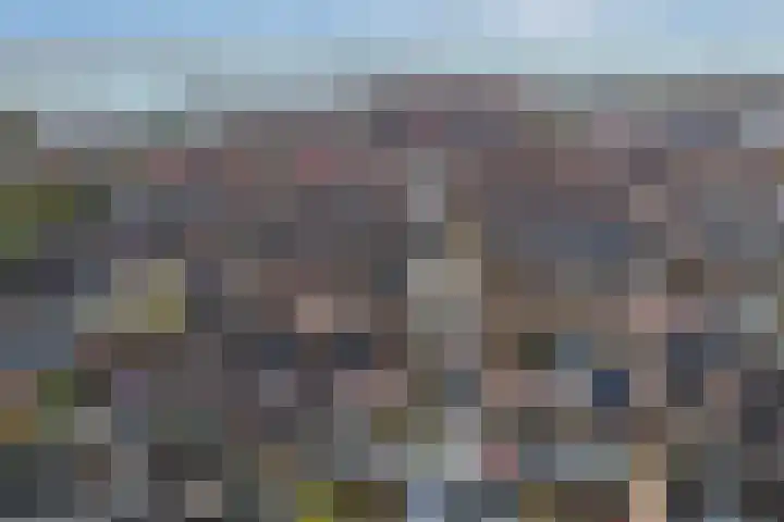 Beemster 98 Lelystad thumbnail 5