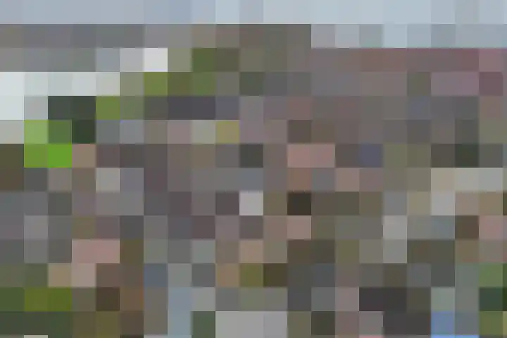 Beemster 98 Lelystad thumbnail 6