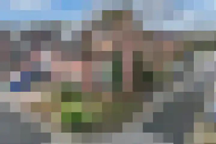 Beemster 98 Lelystad thumbnail 7