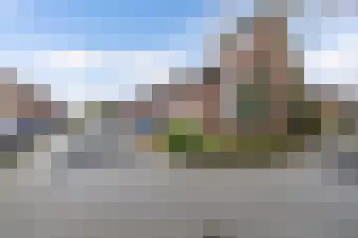 Beemster 98 Lelystad thumbnail 8