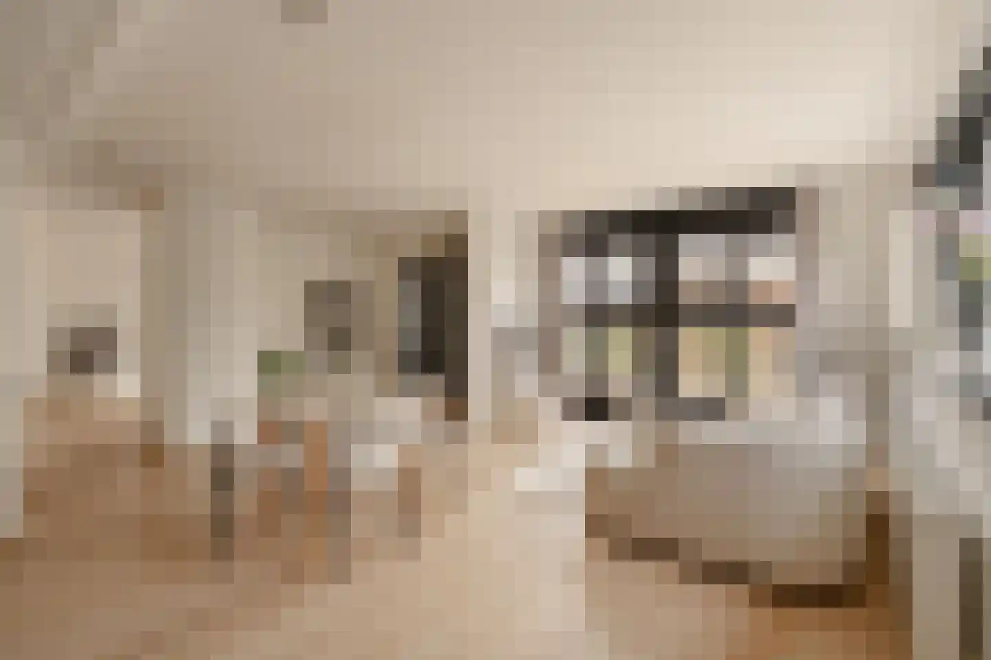 Beemsterboerstraat 11 Huizen thumbnail 4