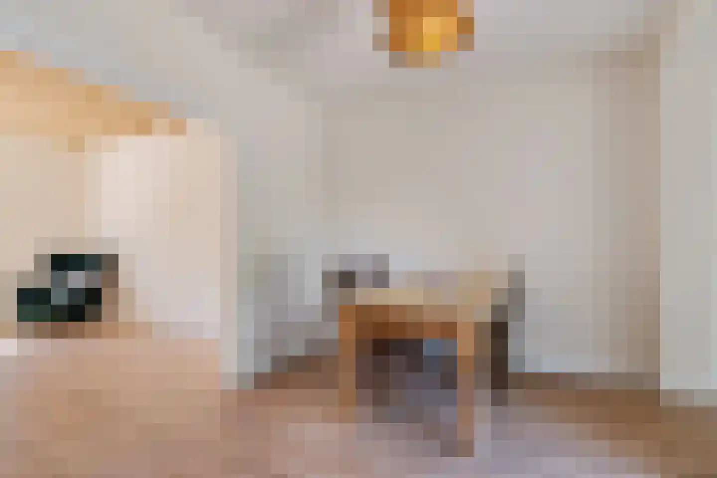Beemsterlaan 19 Bergen (NH) thumbnail 18