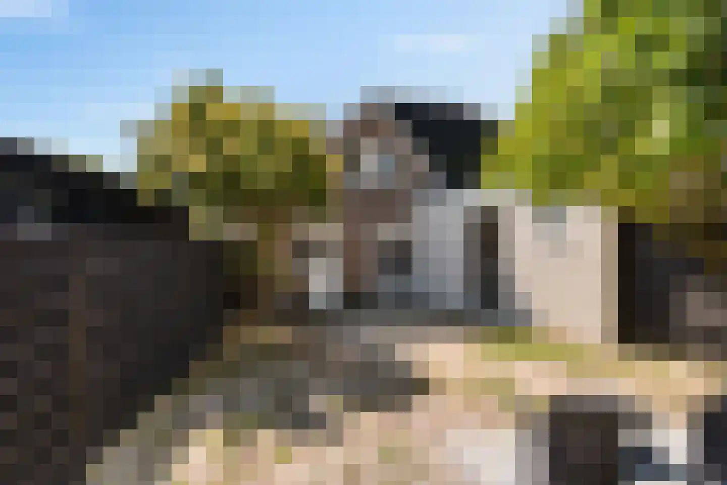 Beemsterlaan 19 Bergen (NH) thumbnail 34