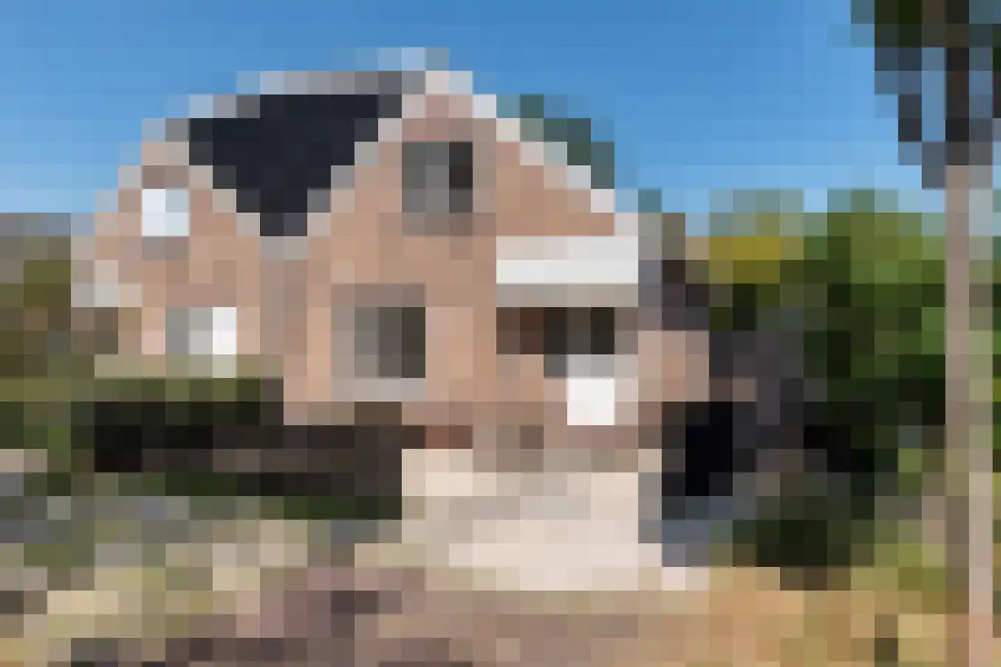 Beemsterlaan 19 Bergen (NH) thumbnail 5