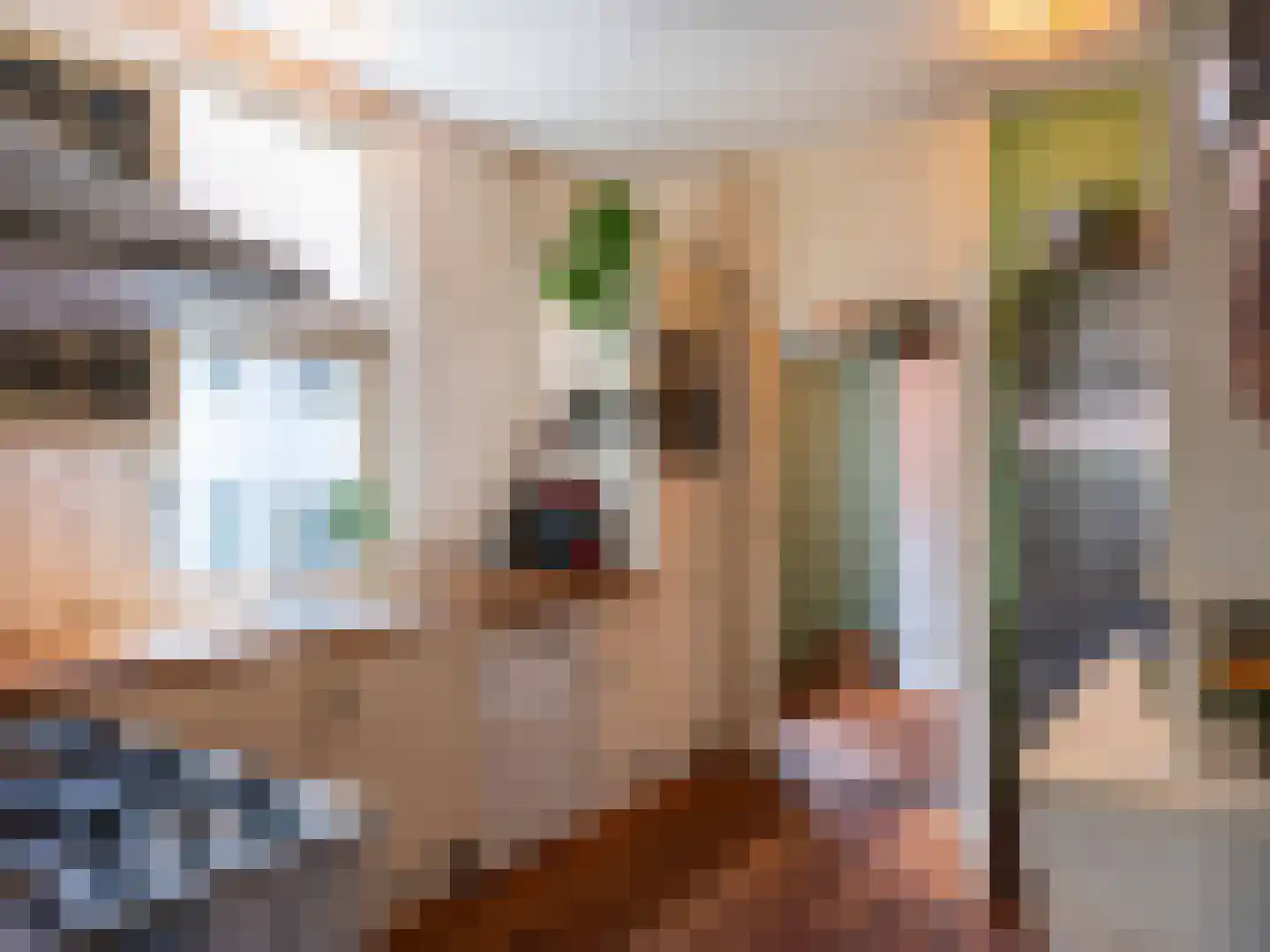 Beemsterlaan 2 Bergen (NH) thumbnail 14