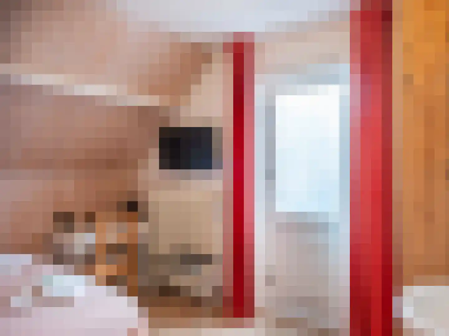Beemsterlaan 2 Bergen (NH) thumbnail 22